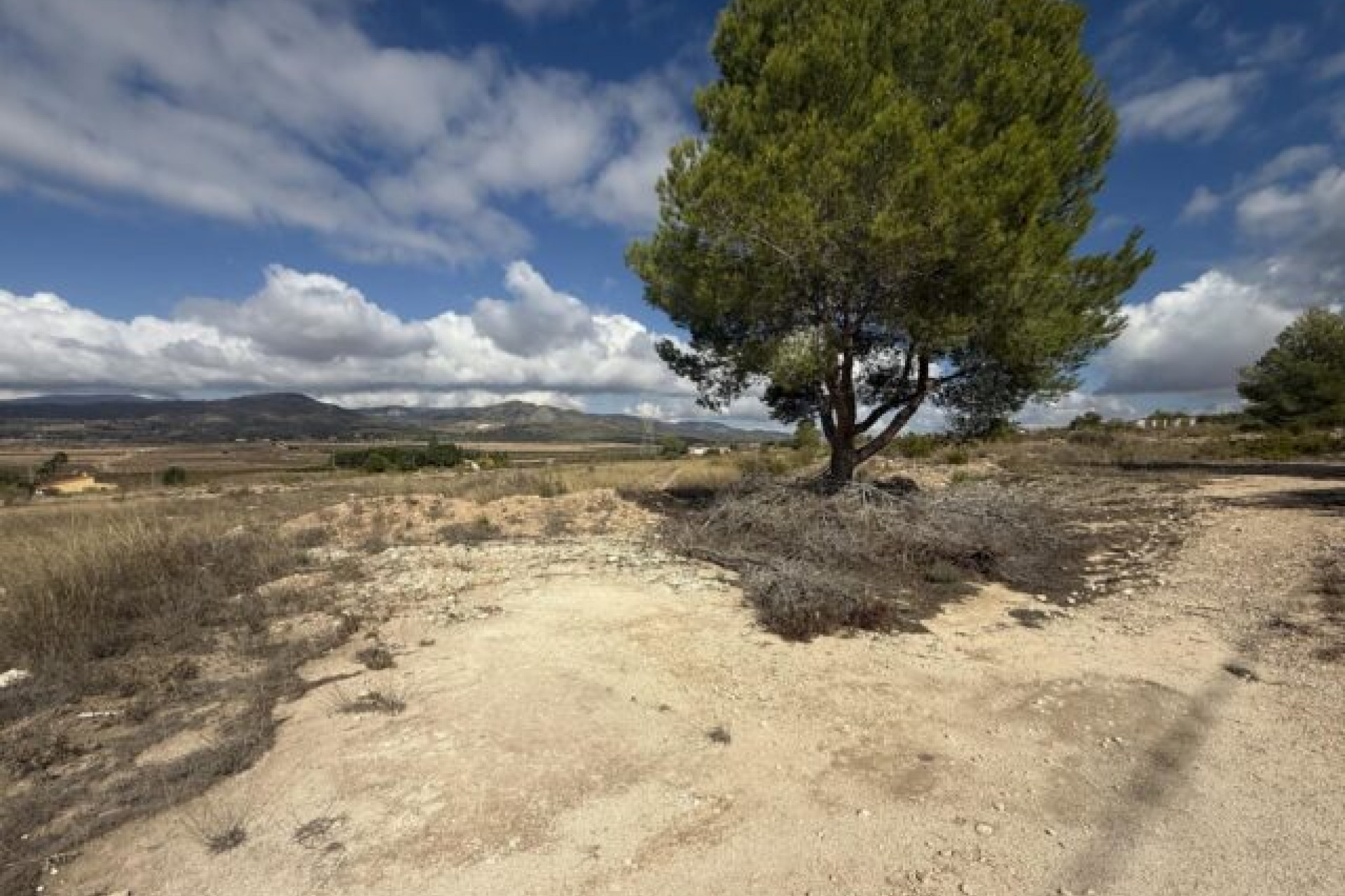 Resale - Land -
Monovar