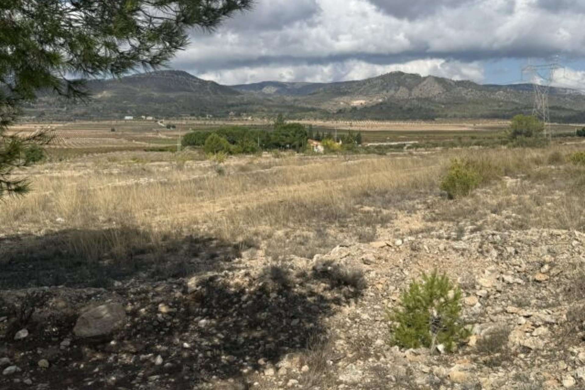 Resale - Land -
Monovar