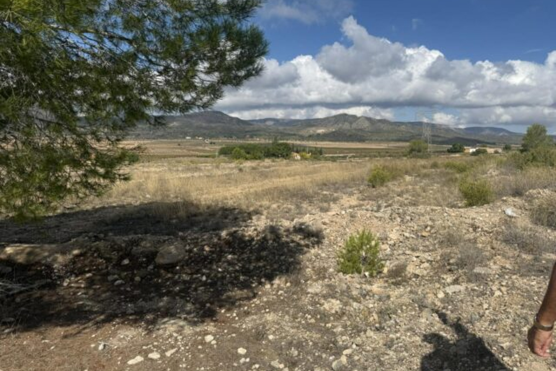 Resale - Land -
Monovar