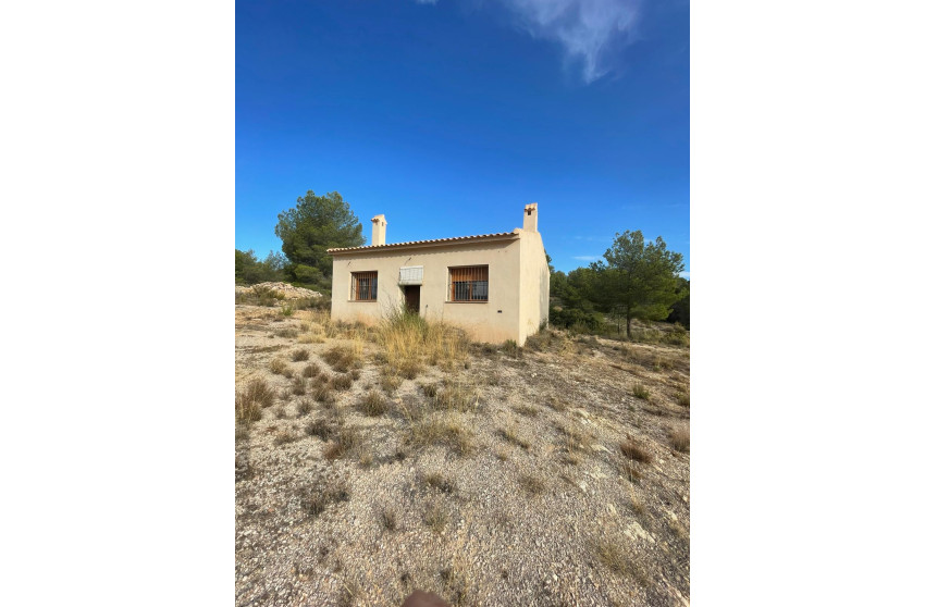 Resale - Land -
Pinoso - Pinoso Alicante