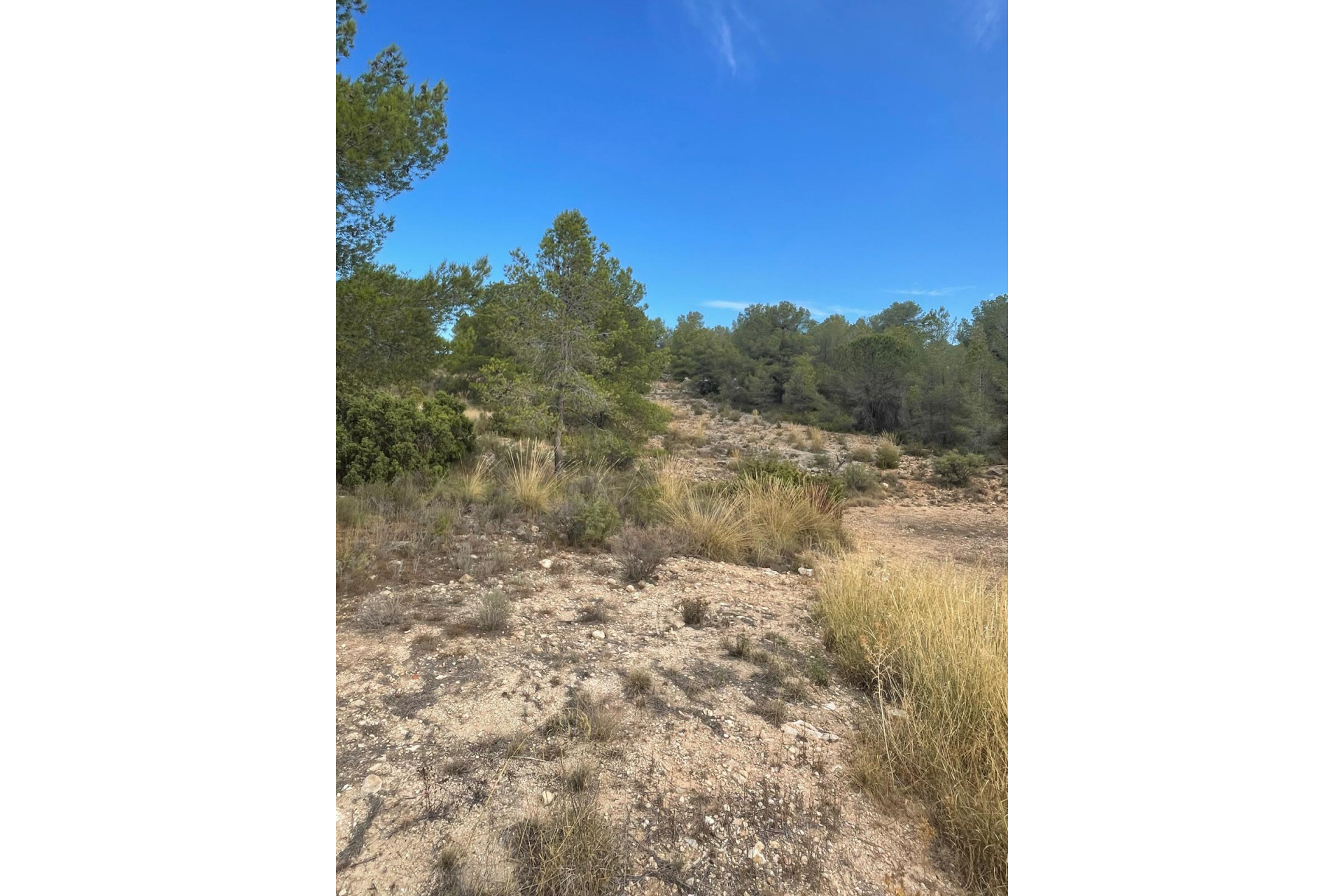 Resale - Land -
Pinoso - Pinoso Alicante