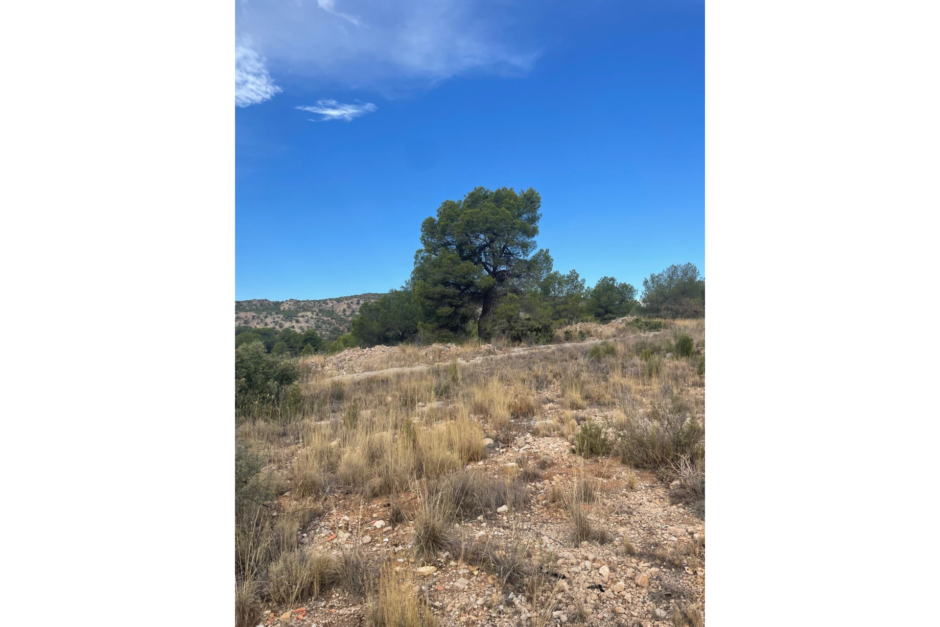 Resale - Land -
Pinoso - Pinoso Alicante