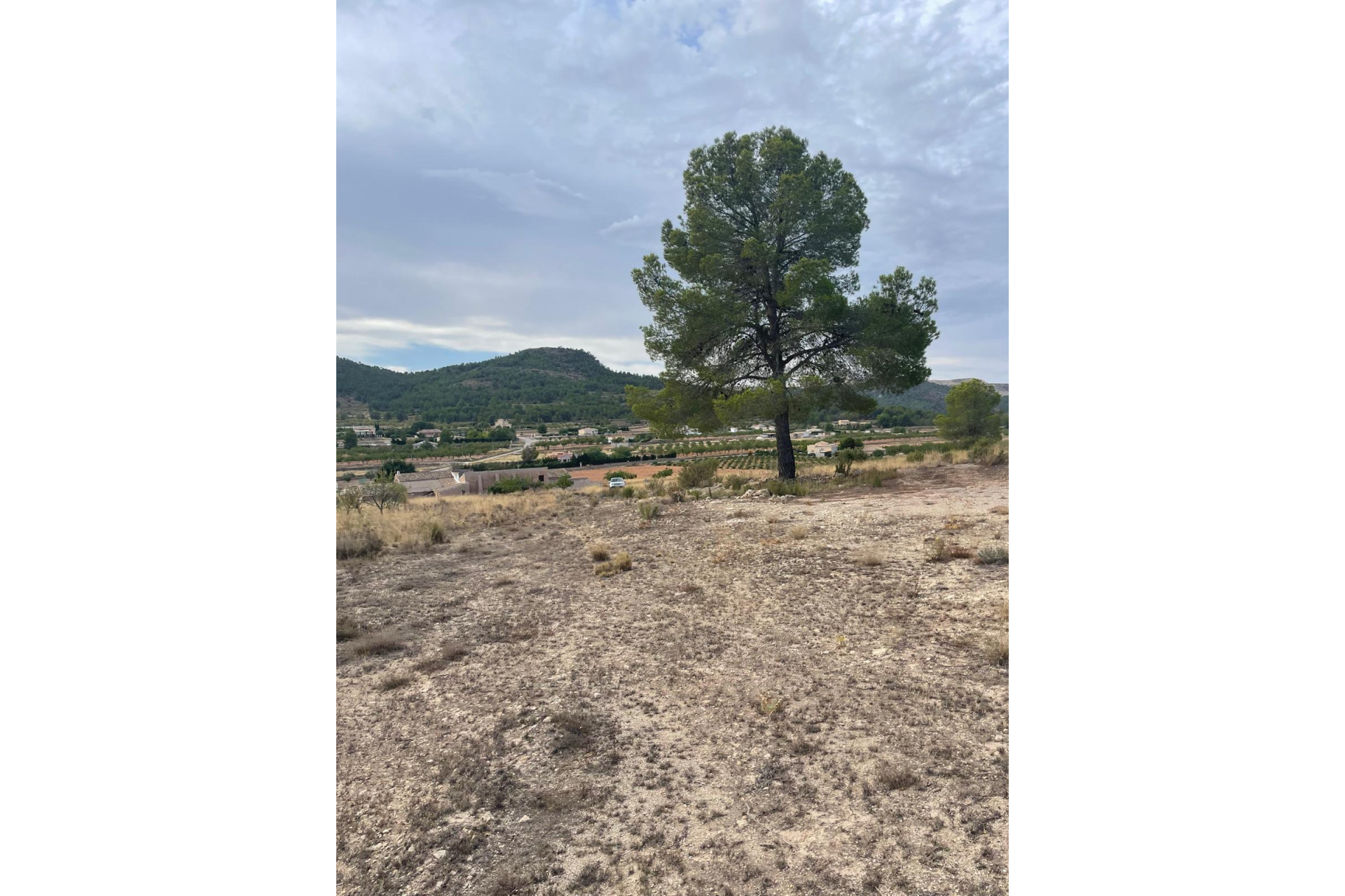 Resale - Land -
Pinoso - Pinoso Alicante