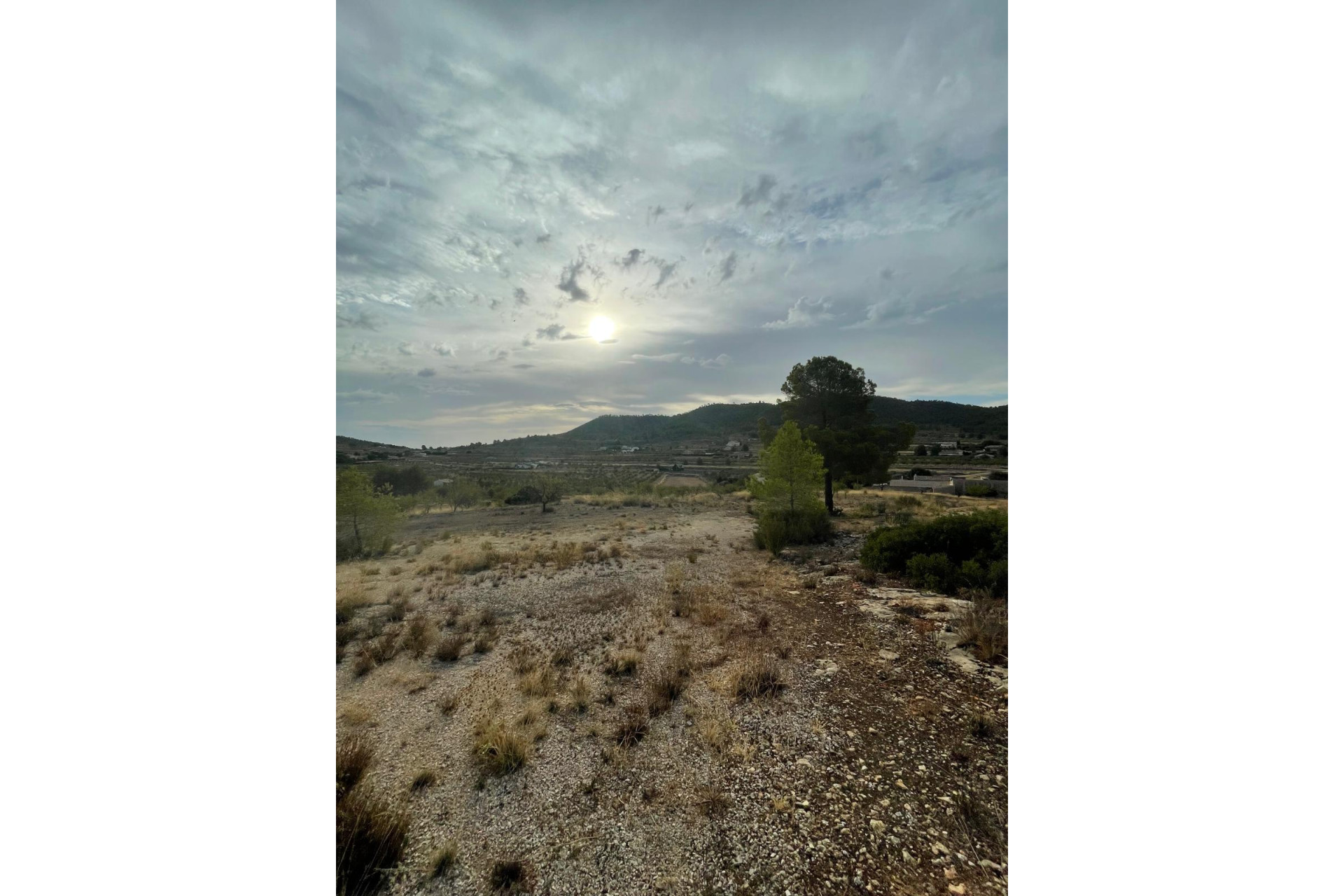 Resale - Land -
Pinoso - Pinoso Alicante