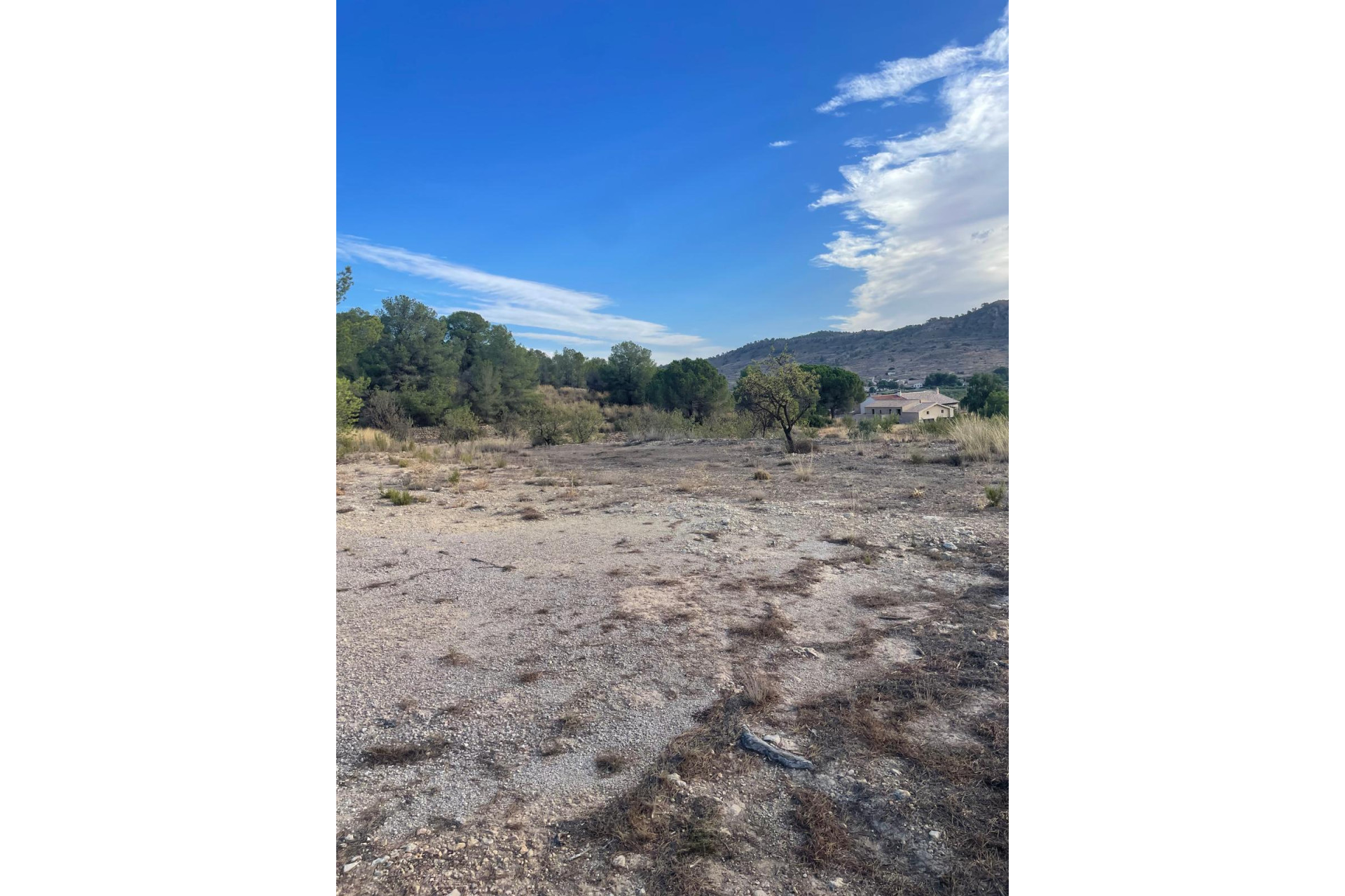 Resale - Land -
Pinoso - Pinoso Alicante