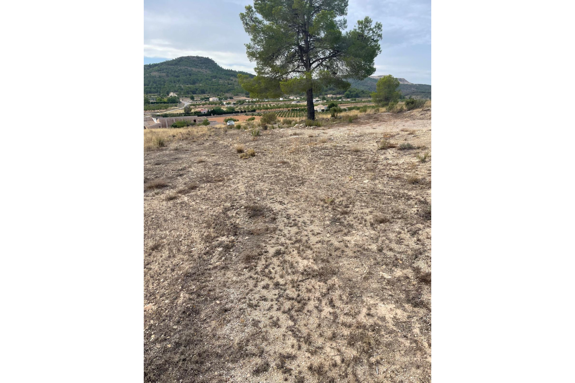 Resale - Land -
Pinoso - Pinoso Alicante