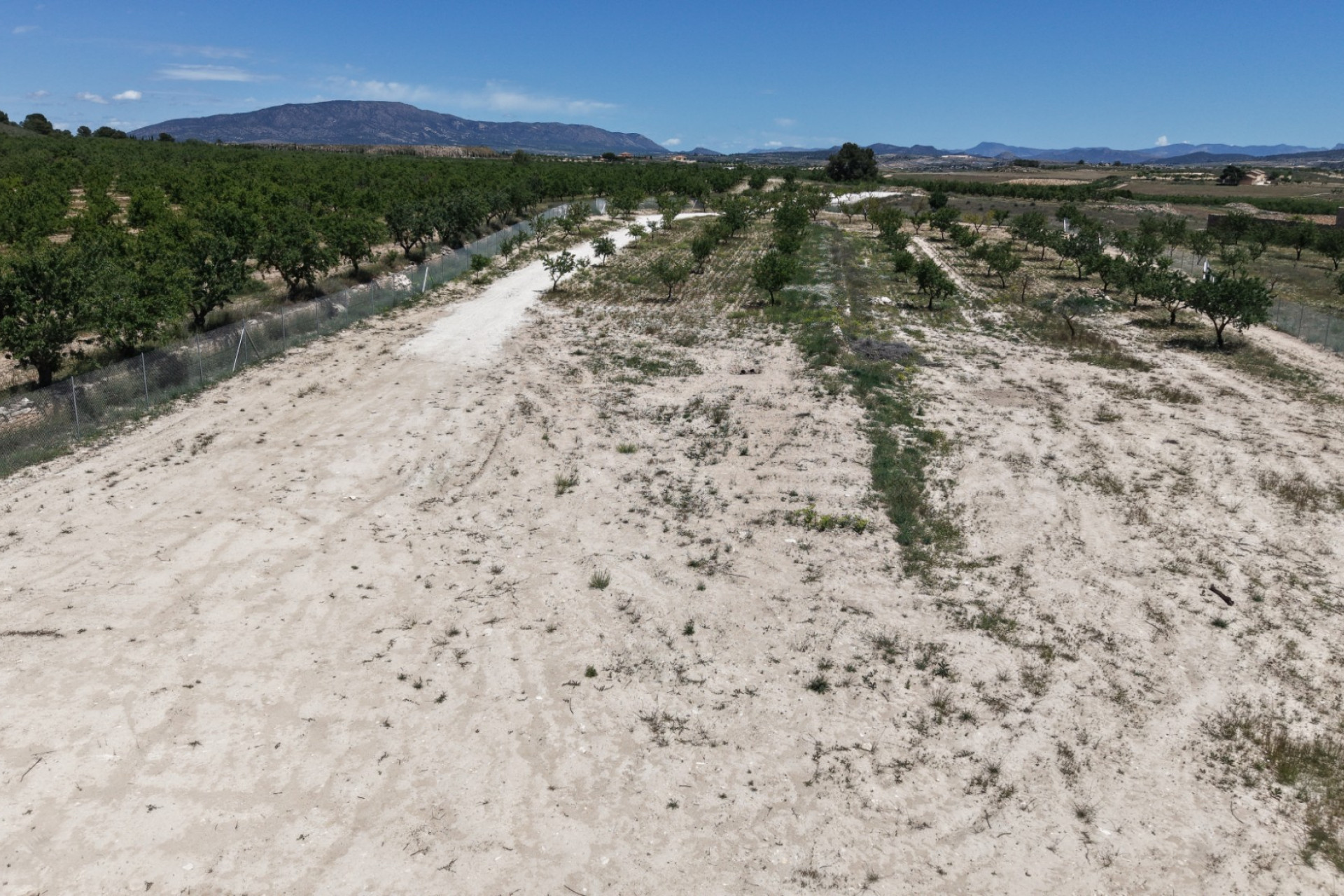 Resale - Land -
Pinoso - PINOSO