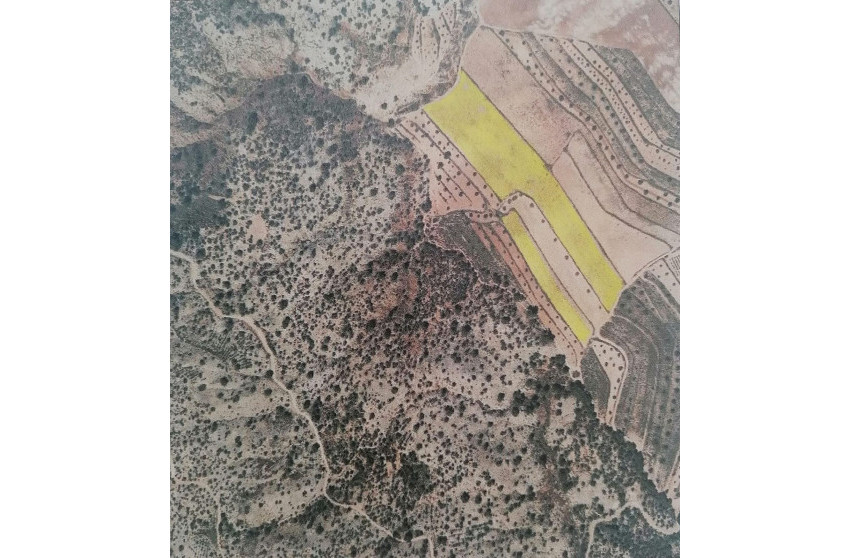 Resale - Land -
Pinoso