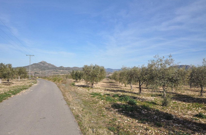 Resale - Land -
Salinas