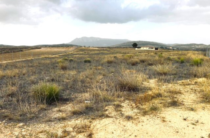 Resale - Land -
Torre Del Rico - Torre del Rico