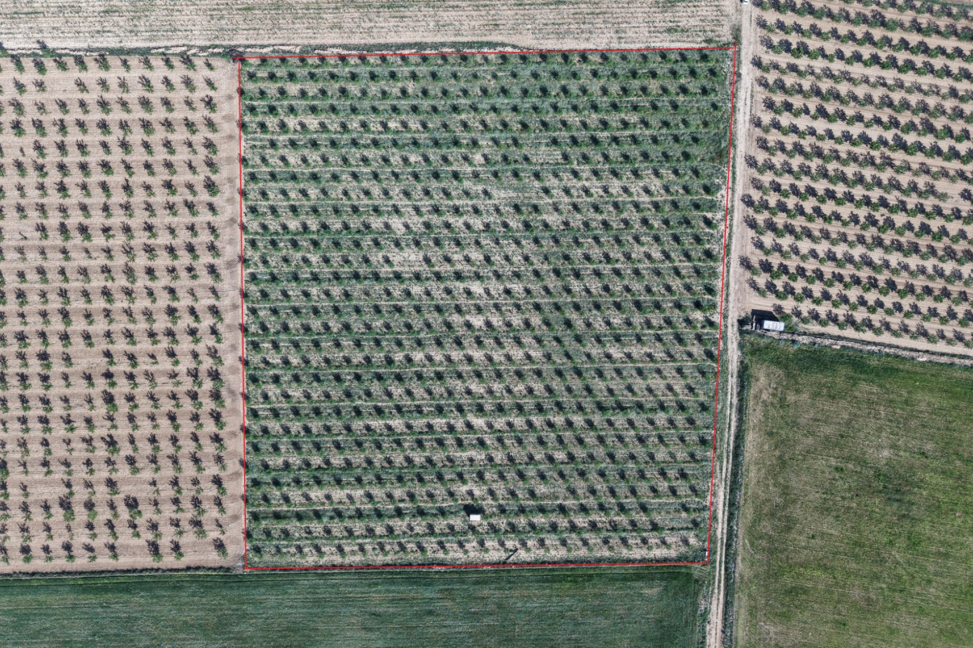 Resale - Land -
Yecla - Yecla Murcia