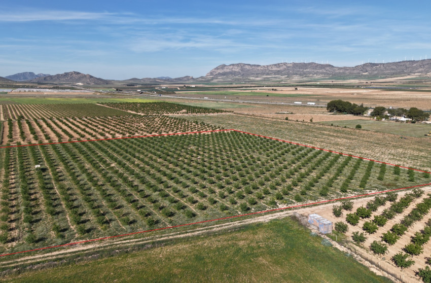 Resale - Land -
Yecla - Yecla Murcia