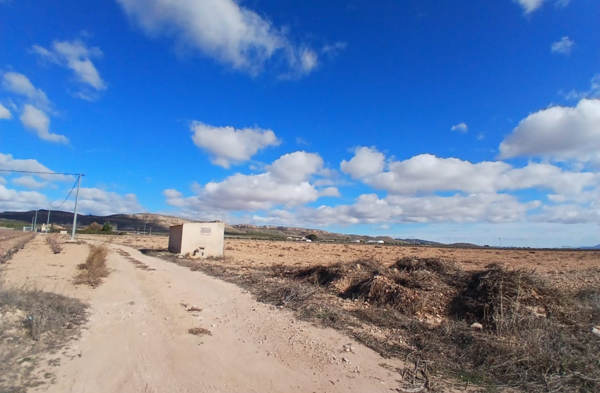 Resale - Land -
Yecla