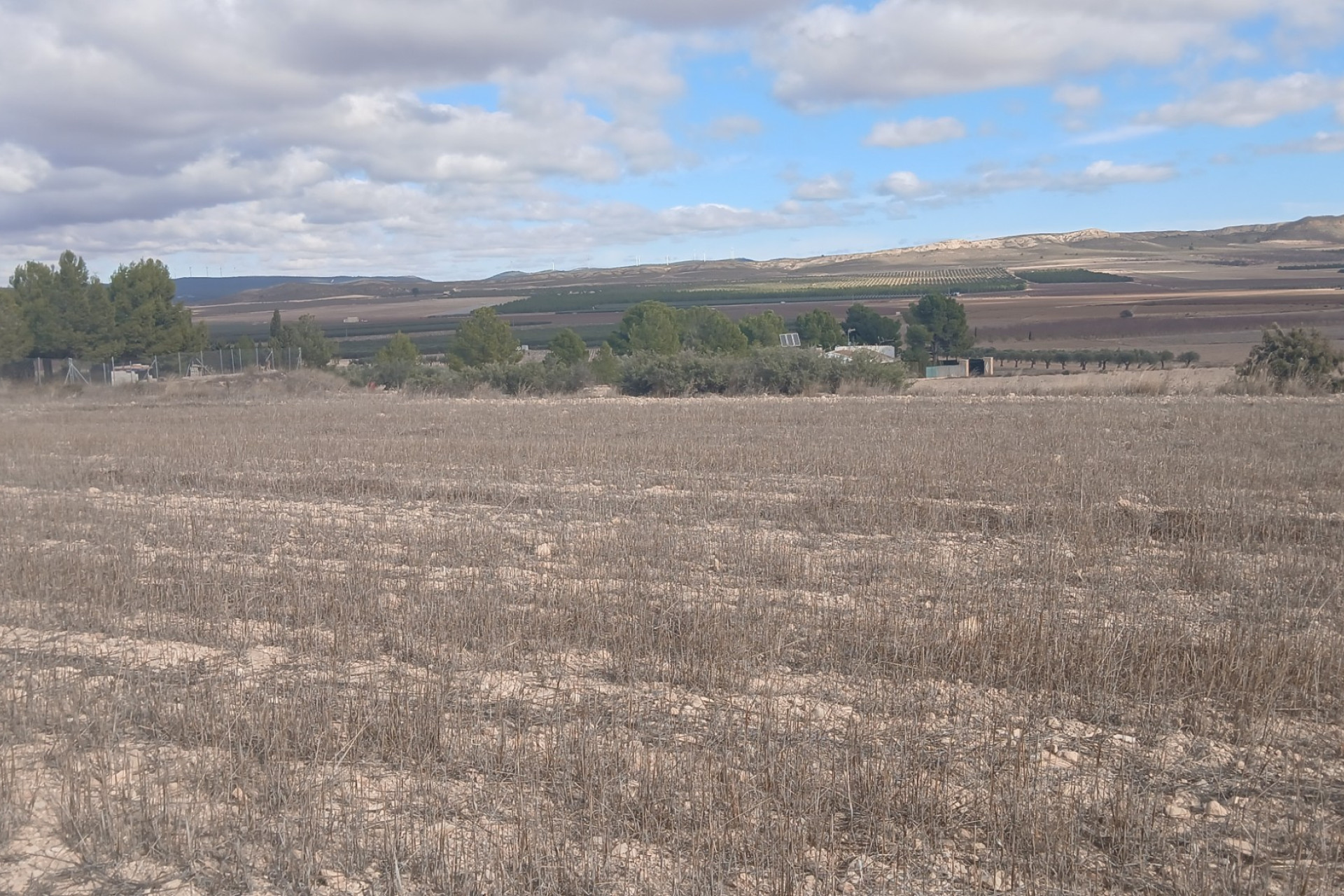 Resale - Land -
Yecla