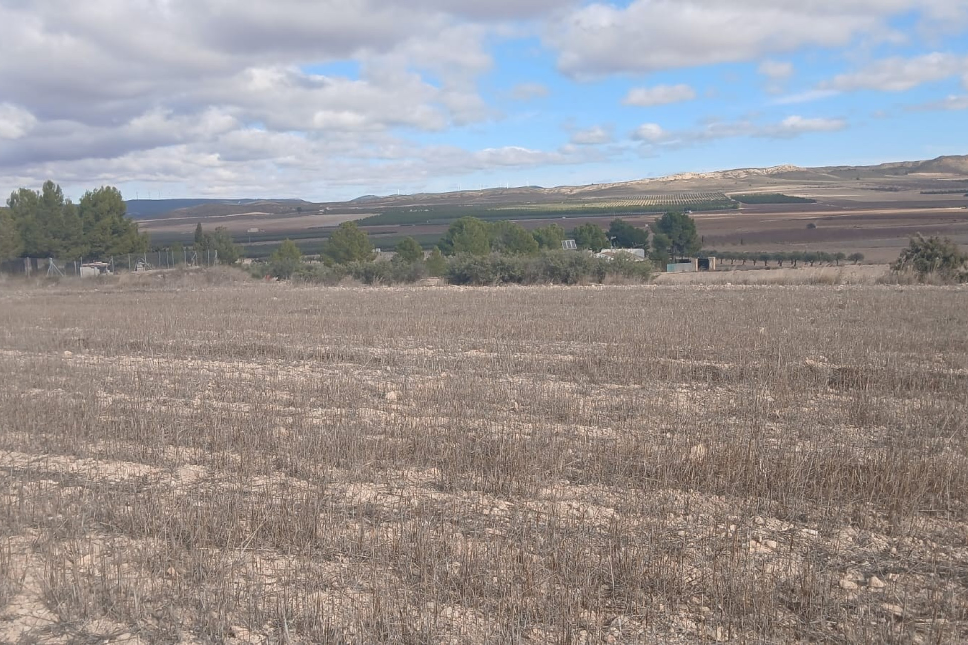 Resale - Land -
Yecla