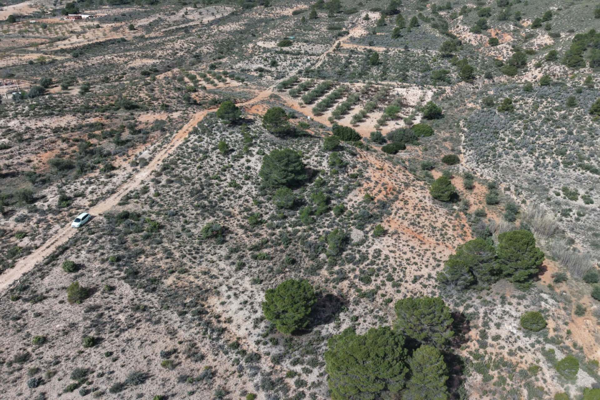 Resale - Land -
Yecla