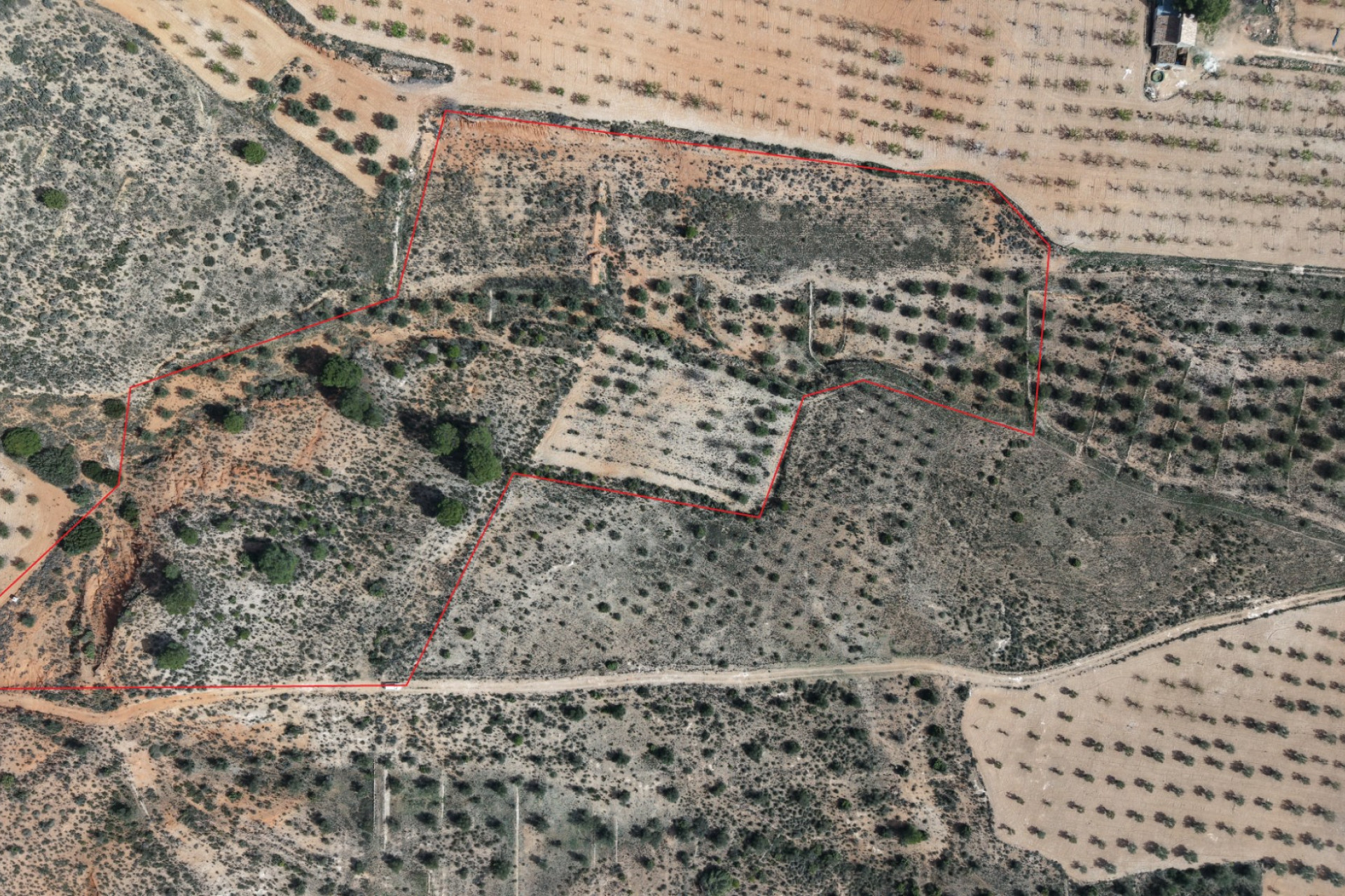 Resale - Land -
Yecla