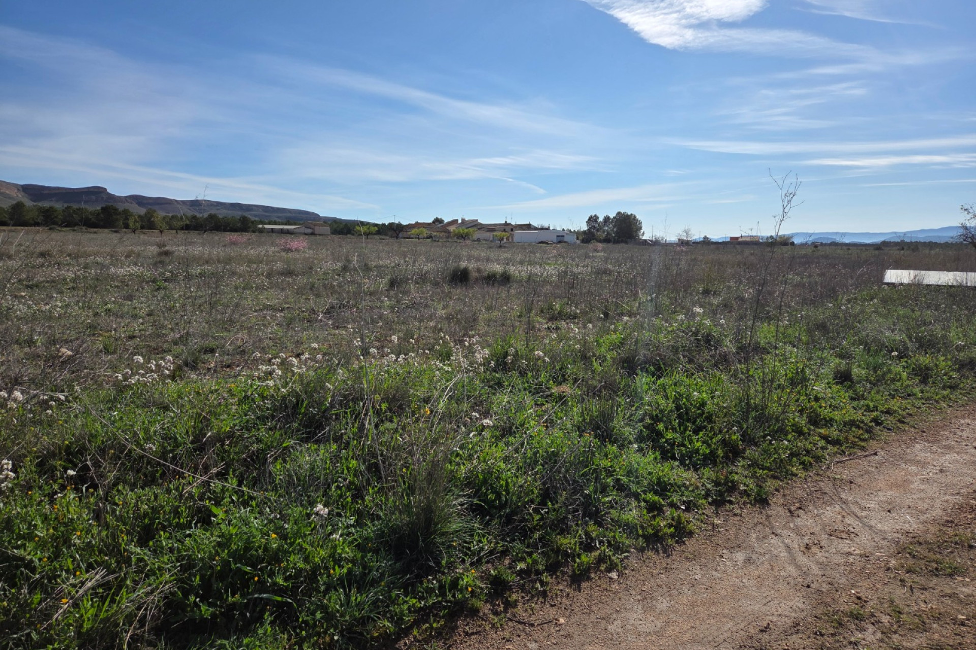 Resale - Land -
Yecla