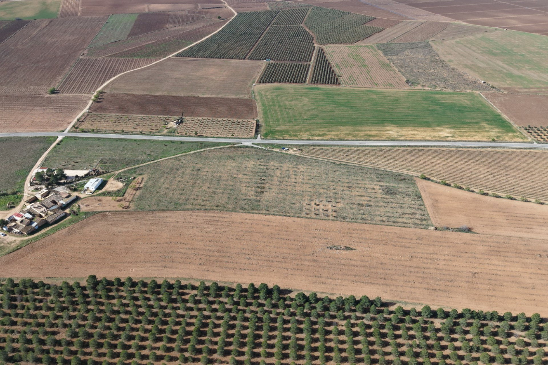 Resale - Land -
Yecla