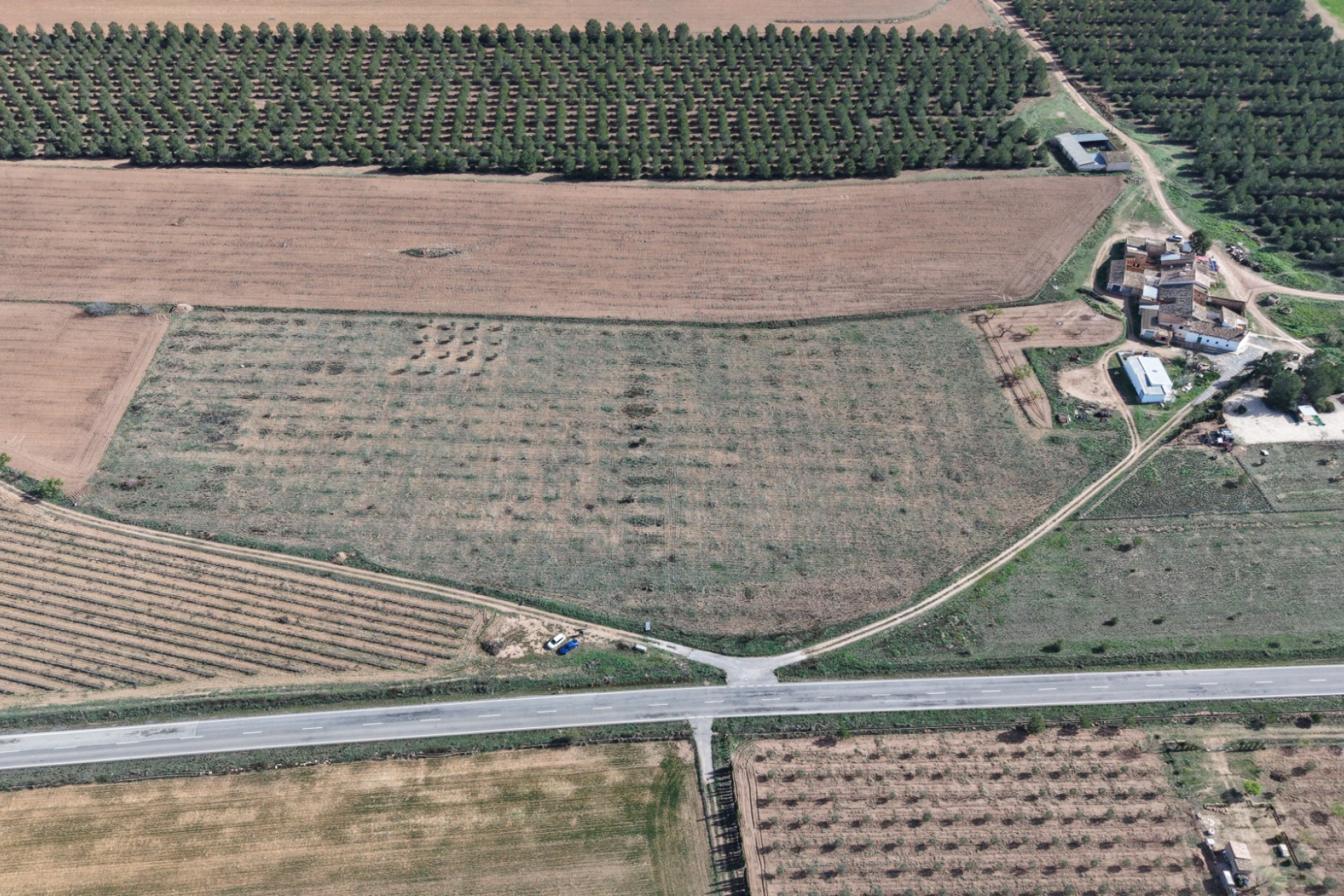 Resale - Land -
Yecla