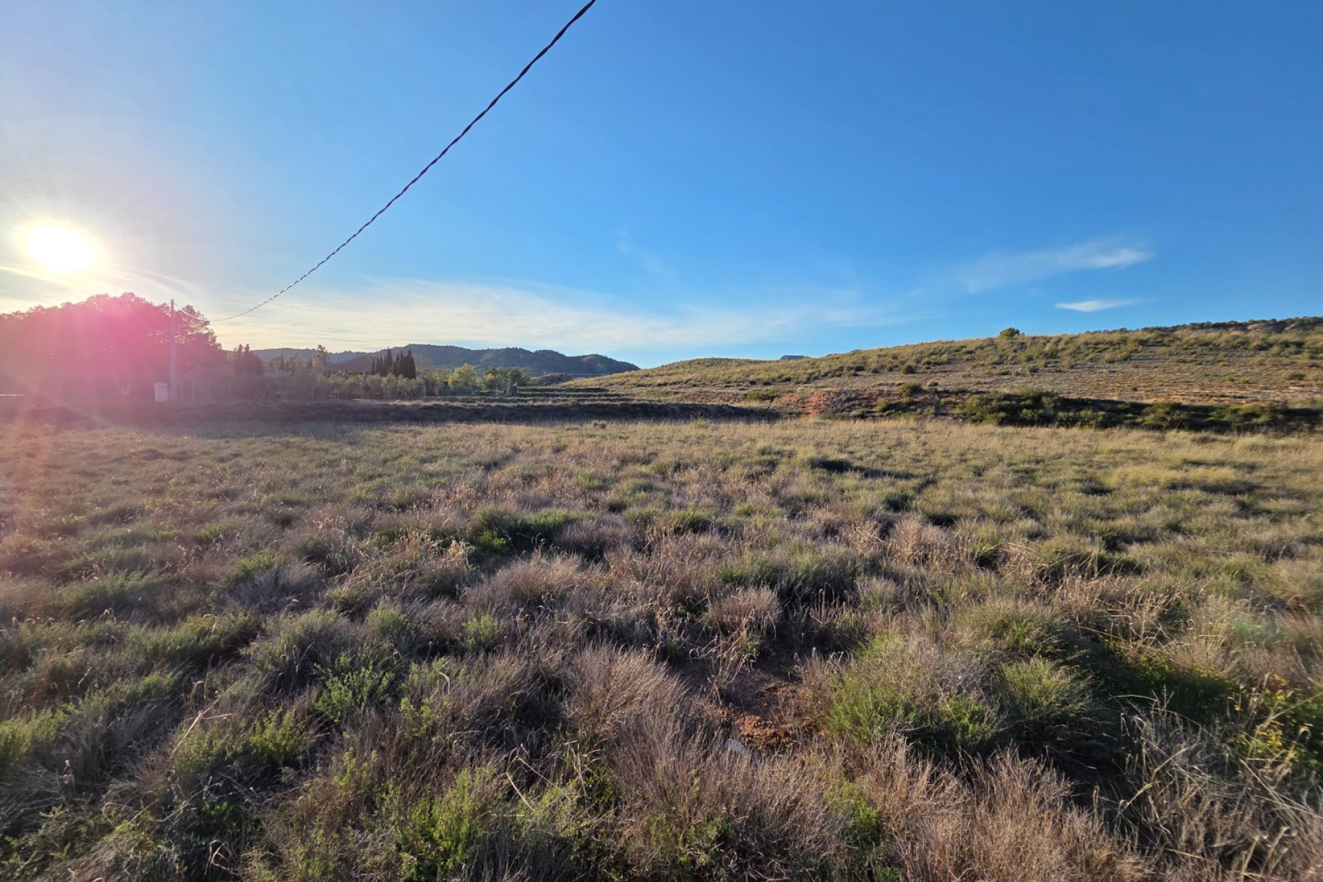 Resale - Land -
Yecla