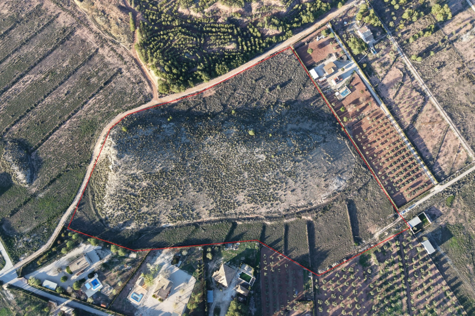 Resale - Land -
Yecla