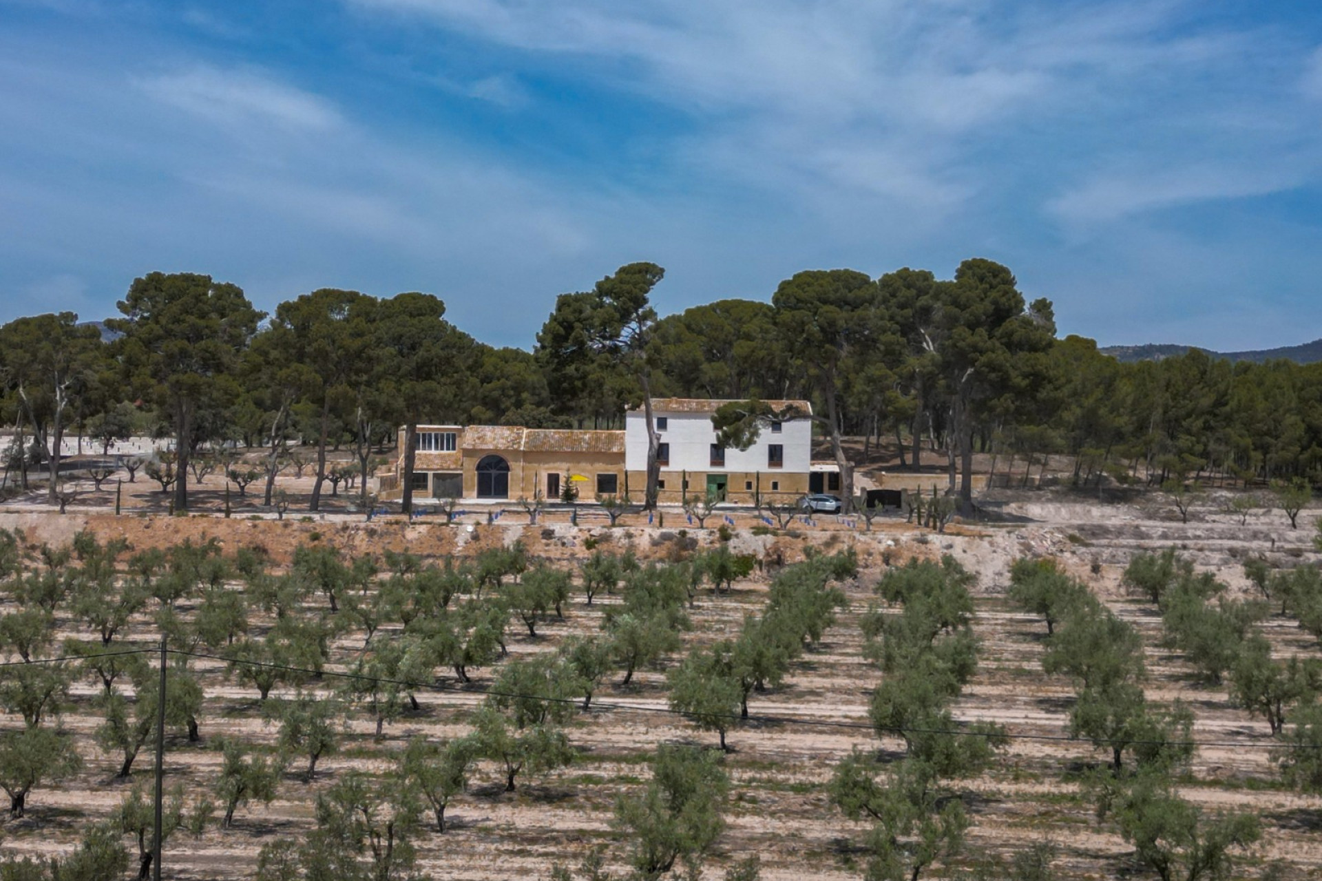 Resale - Others -
Castalla