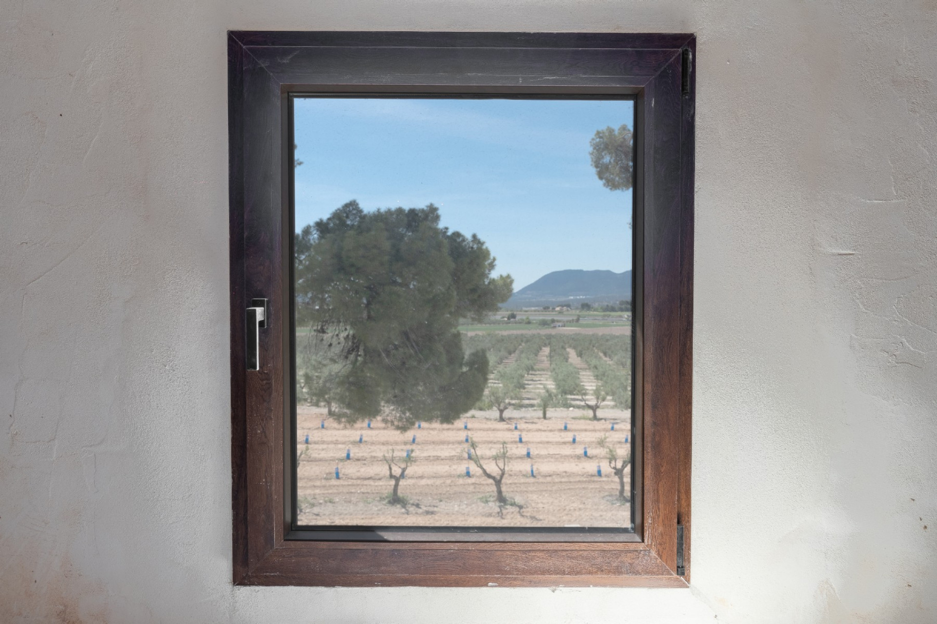 Resale - Others -
Castalla