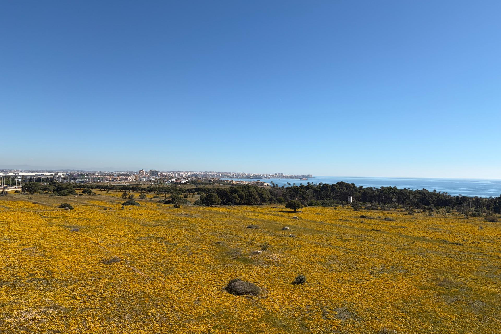 Resale - Penthouse -
Torrevieja - Punta Prima