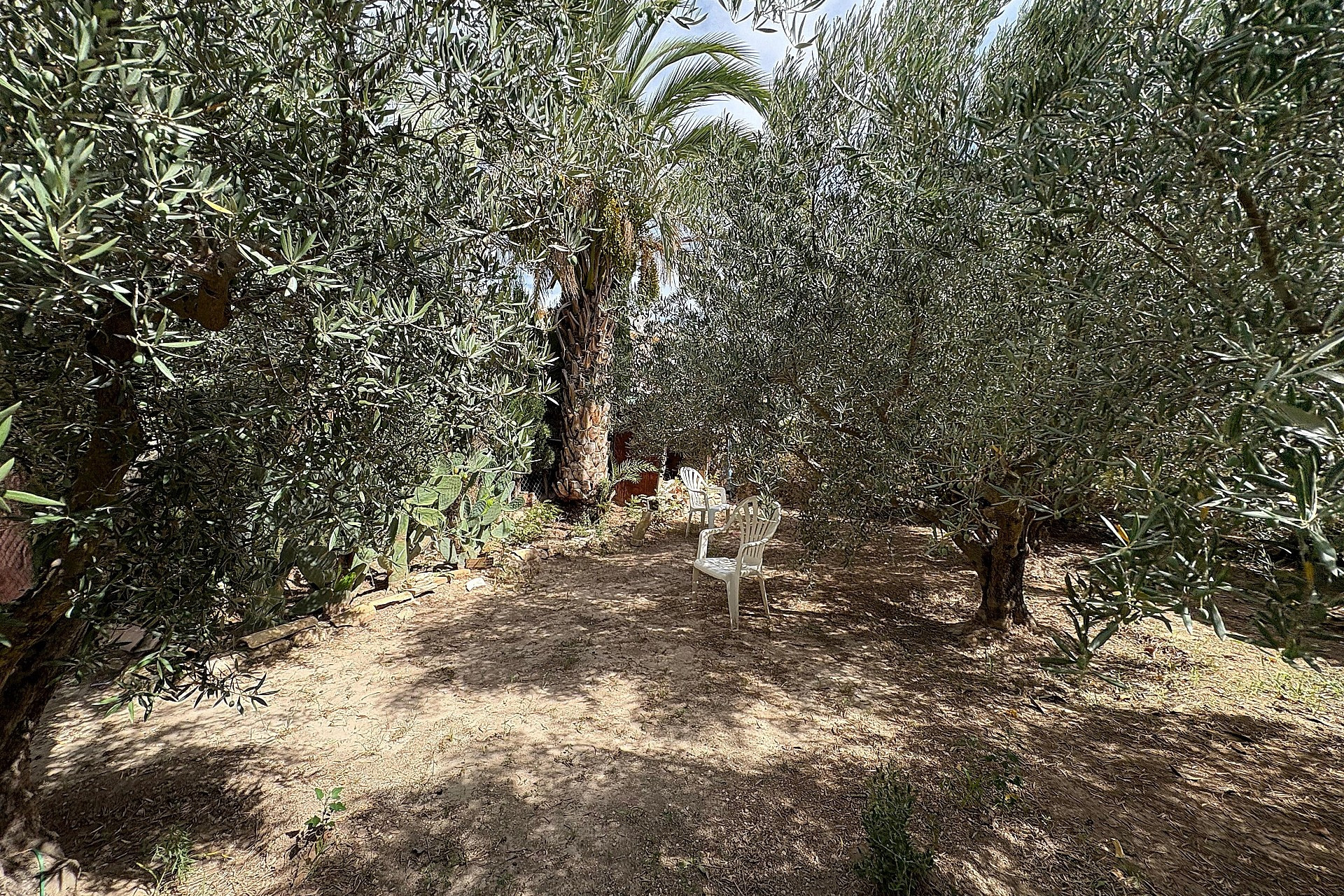 Resale - Semi-detached -
Pinoso