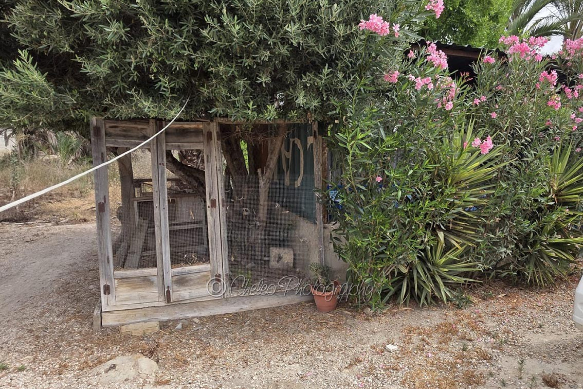 Resale - Townhouse -
Catral