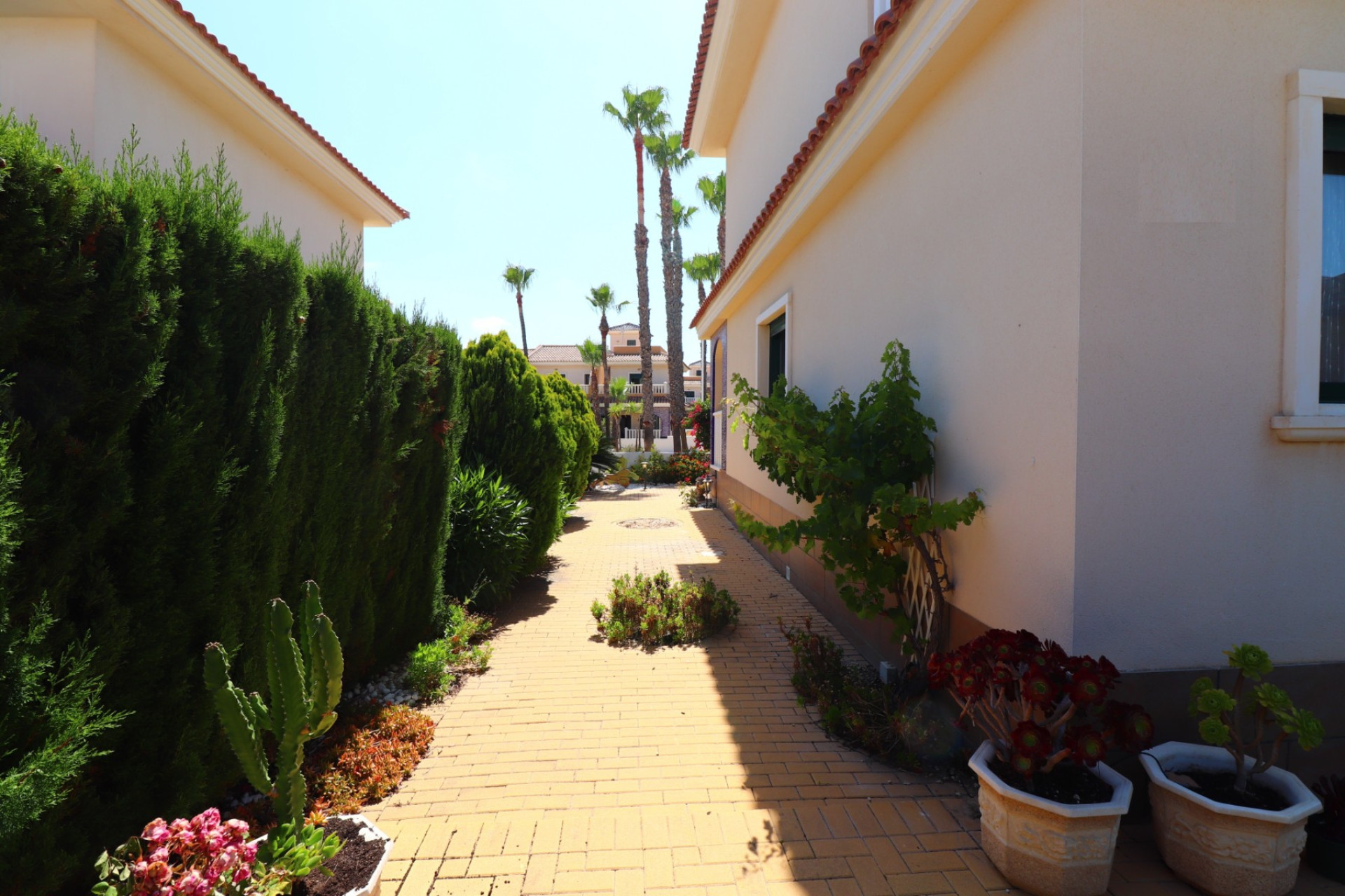 Resale - Townhouse -
Ciudad Quesada