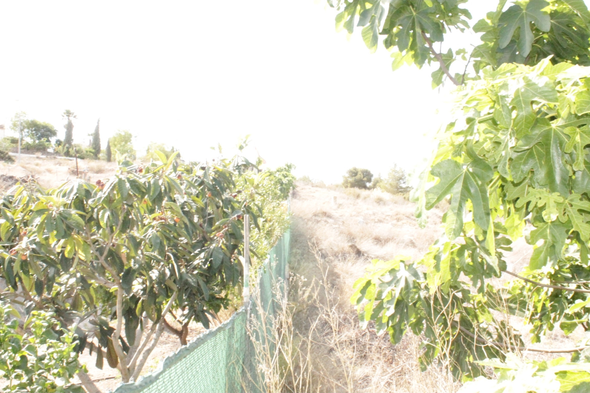 Resale - Townhouse -
Peña de la Zafra de Arriba - Peña de la Zafra de Arriba Murcia