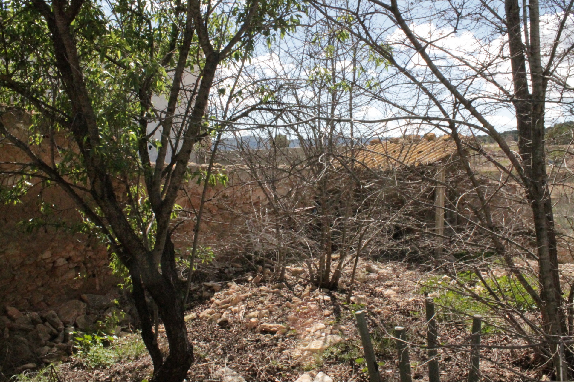 Resale - Townhouse -
Úbeda - Úbeda Alicante