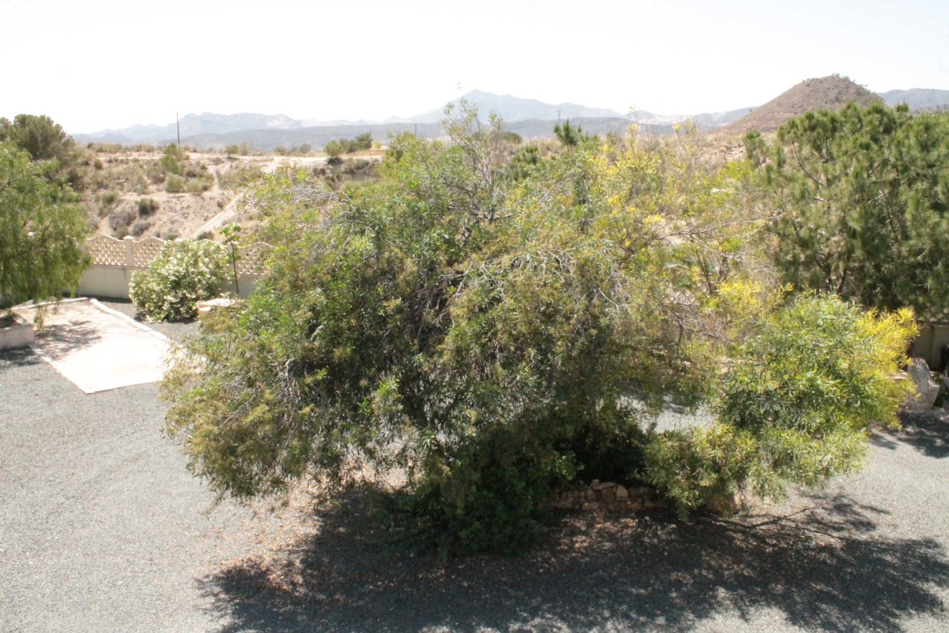 Resale - Villa -
Abanilla - Abanilla Murcia