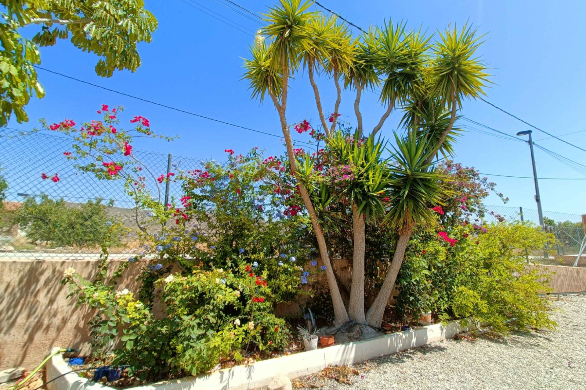 Resale - Villa -
Abanilla