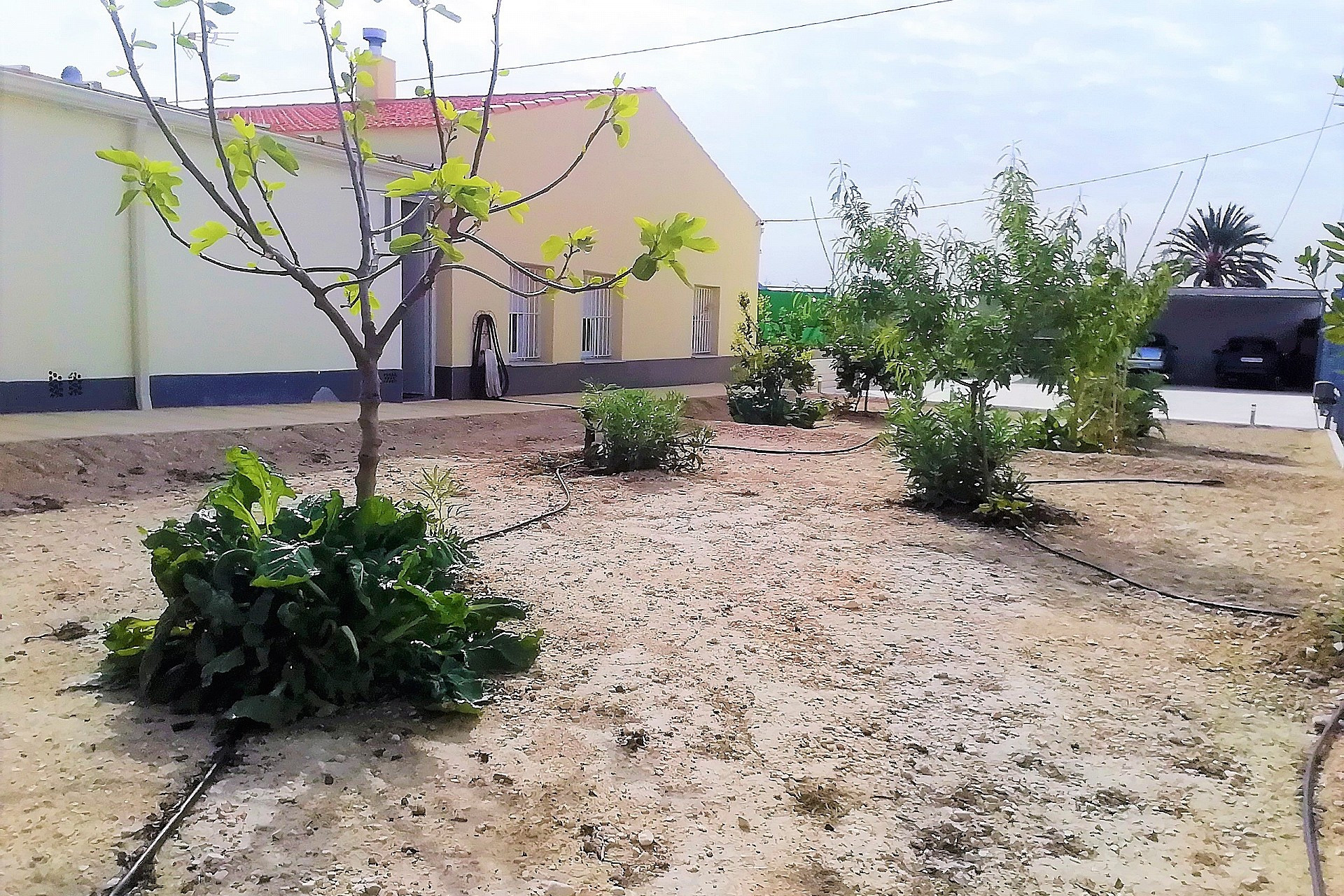 Resale - Villa -
Abanilla