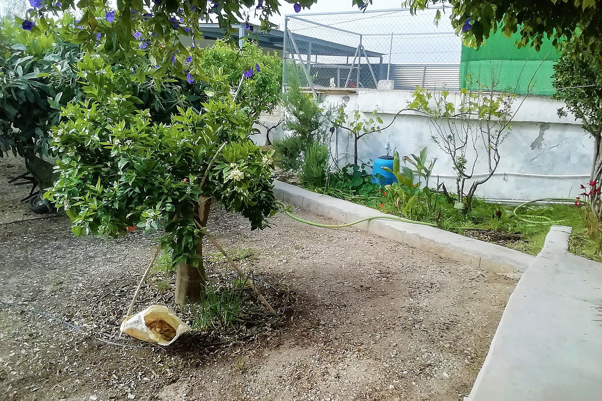 Resale - Villa -
Abanilla