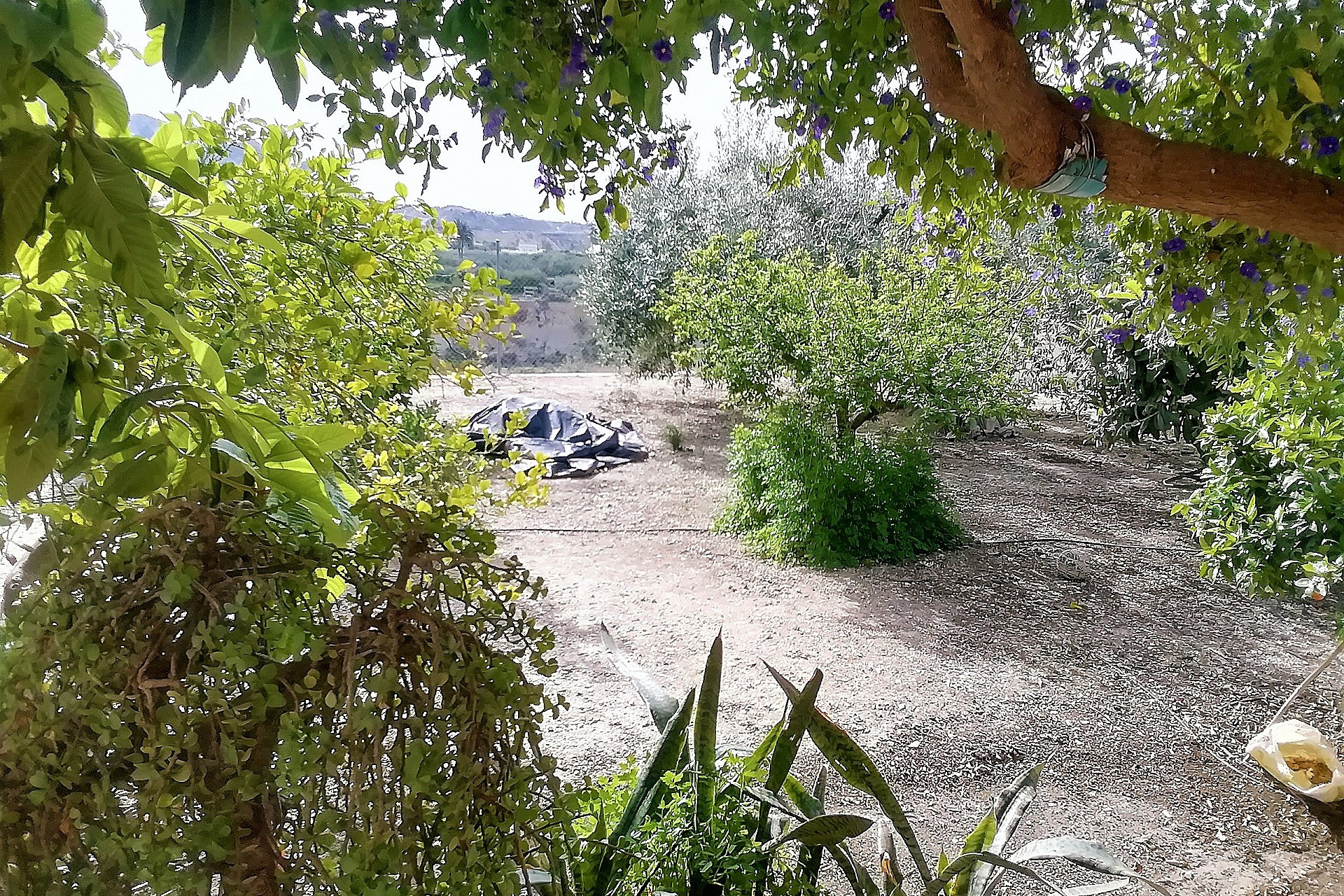 Resale - Villa -
Abanilla