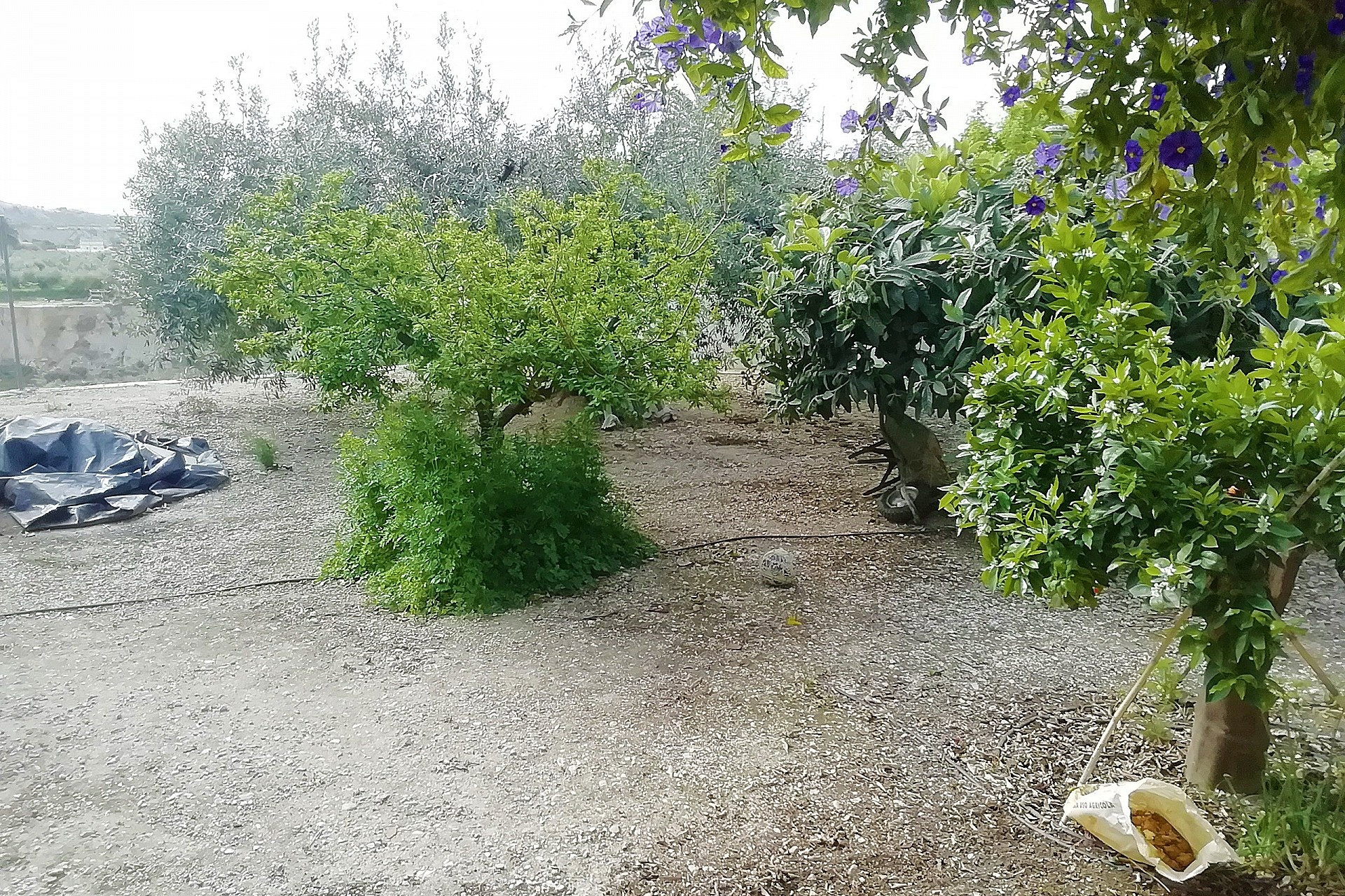 Resale - Villa -
Abanilla