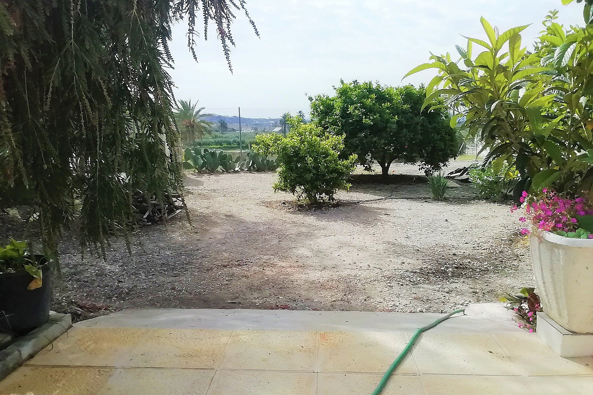 Resale - Villa -
Abanilla