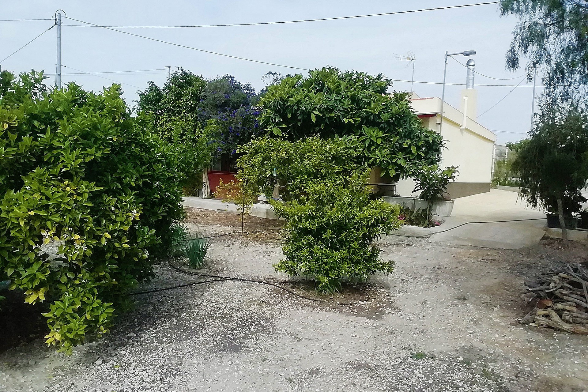 Resale - Villa -
Abanilla