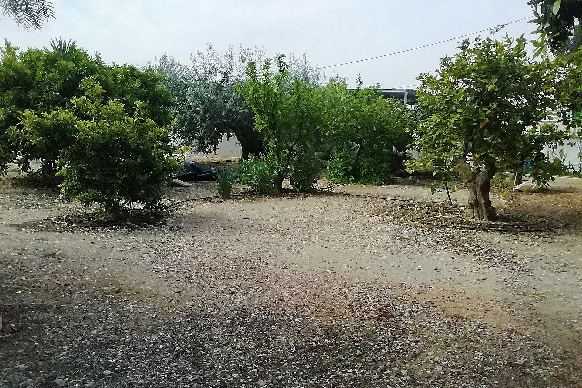 Resale - Villa -
Abanilla