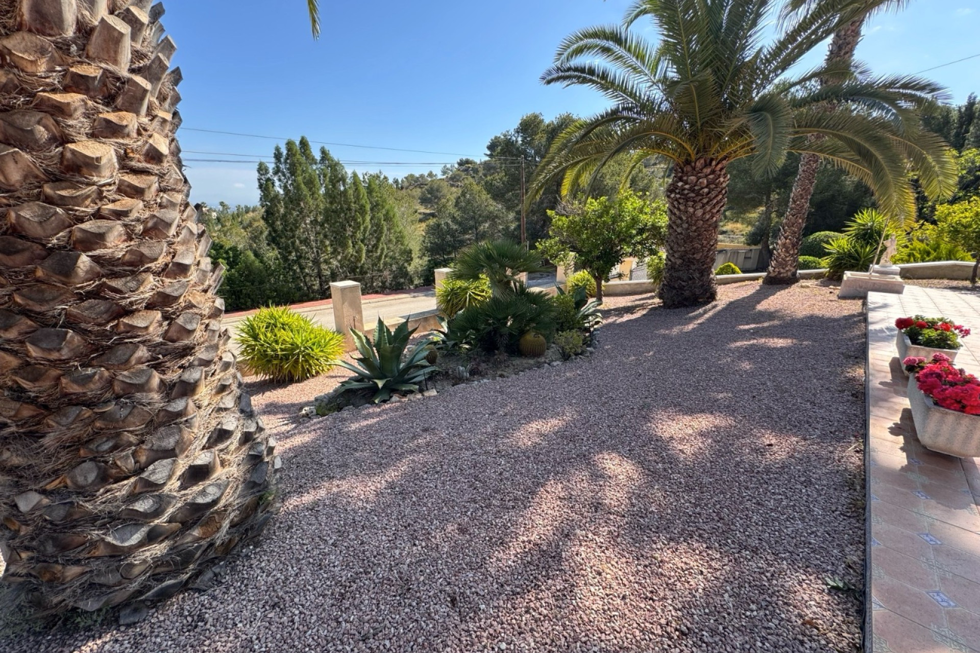 Resale - Villa -
Algorfa