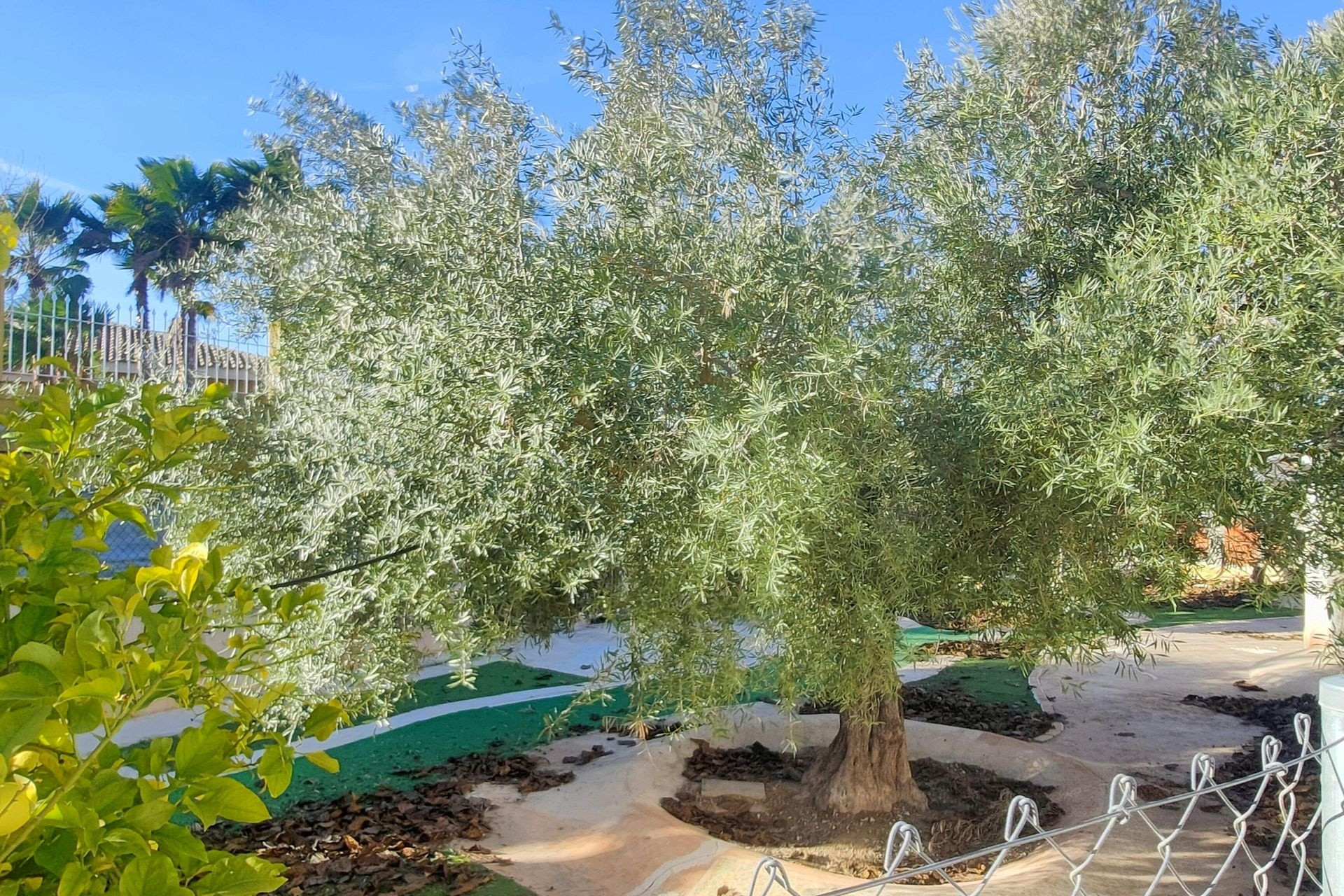 Resale - Villa -
Aspe - ASPE