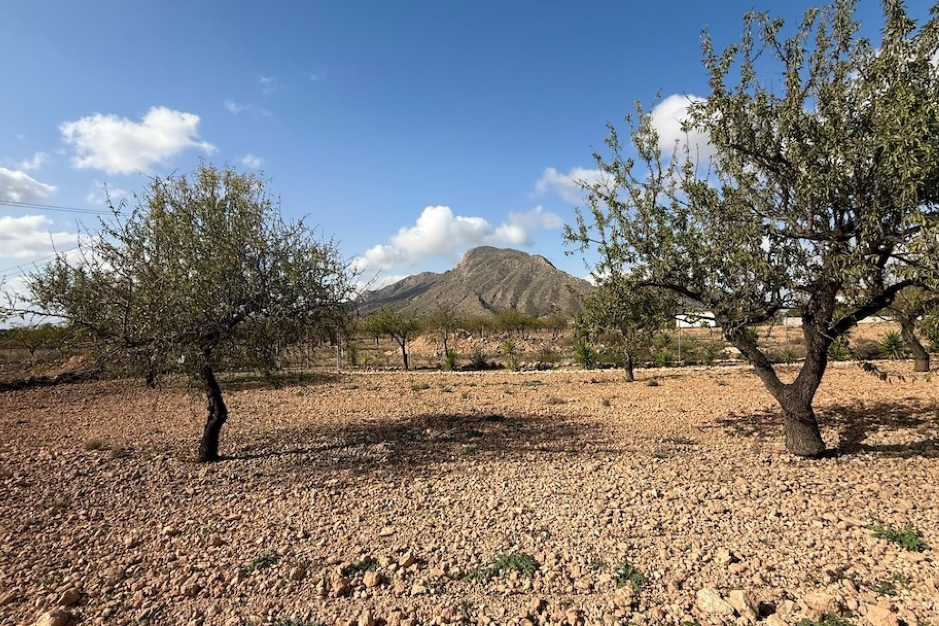 Resale - Villa -
BARBARROJA - Barbarroja