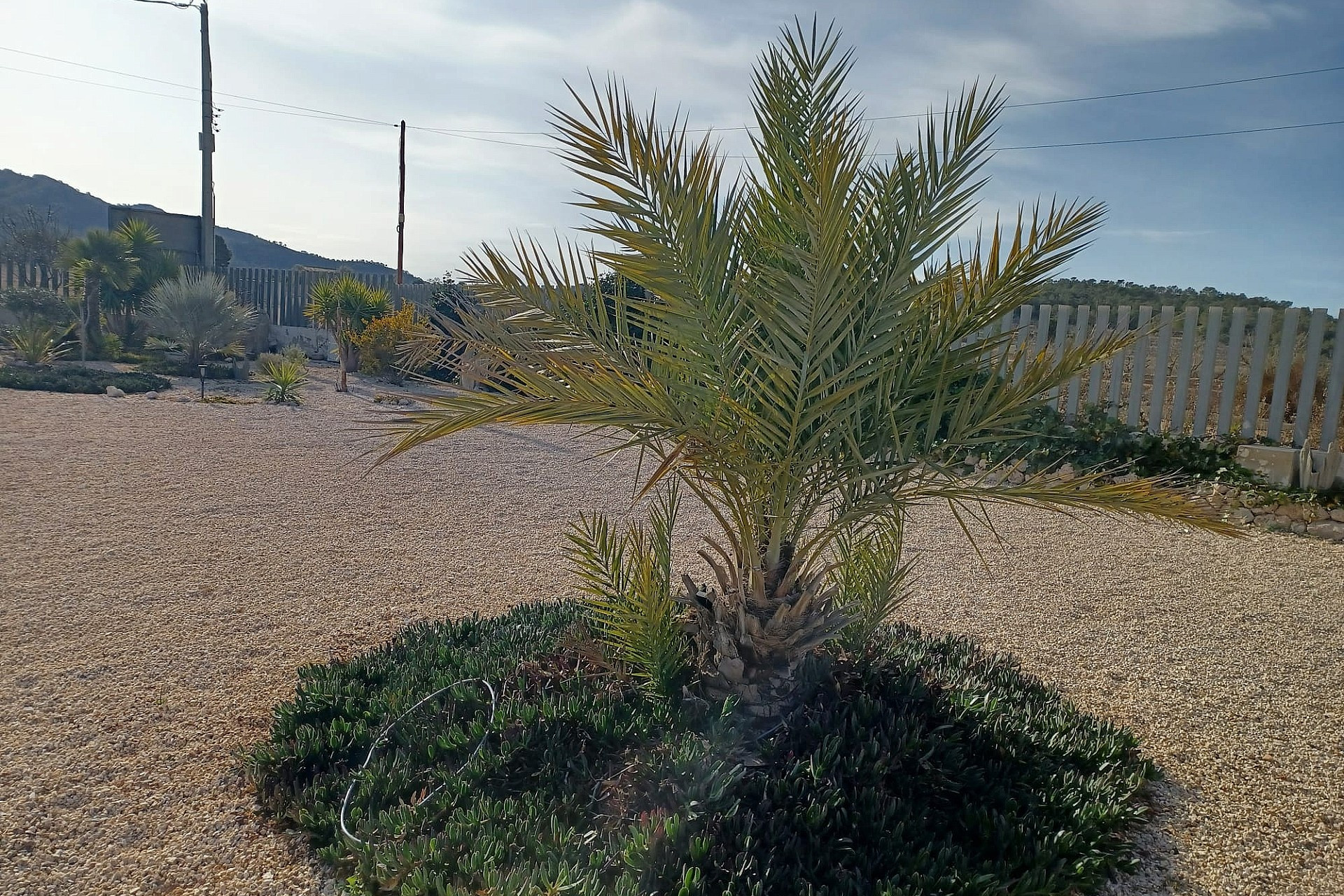 Resale - Villa -
Canada De La Lena