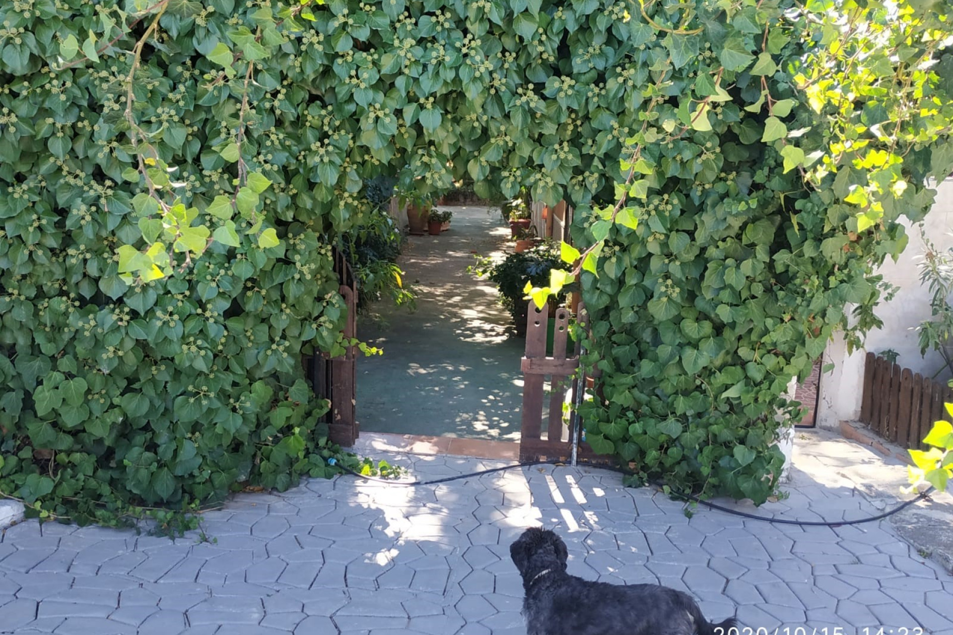 Resale - Villa -
Chinorlet