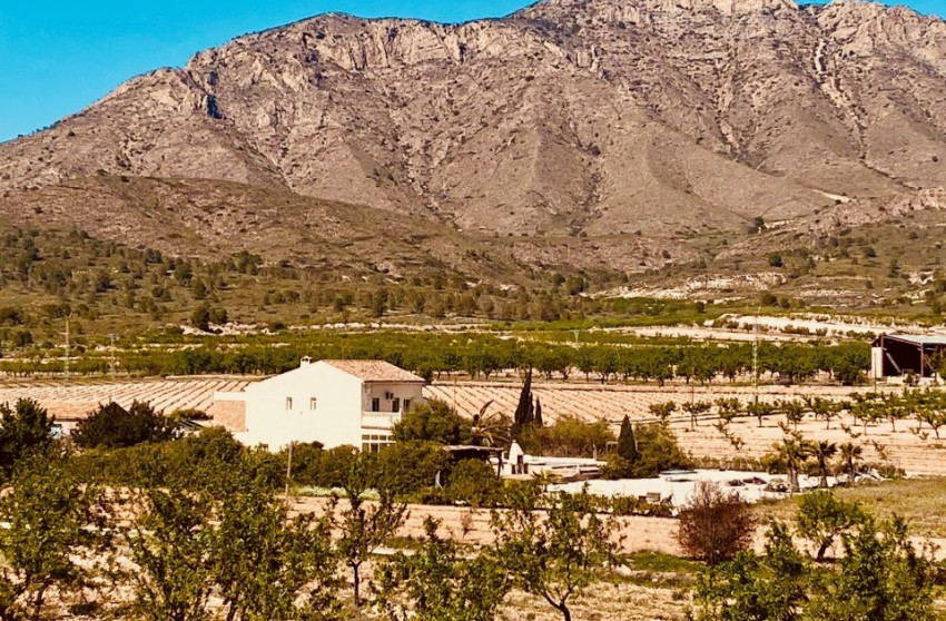 Resale - Villa -
El Canton