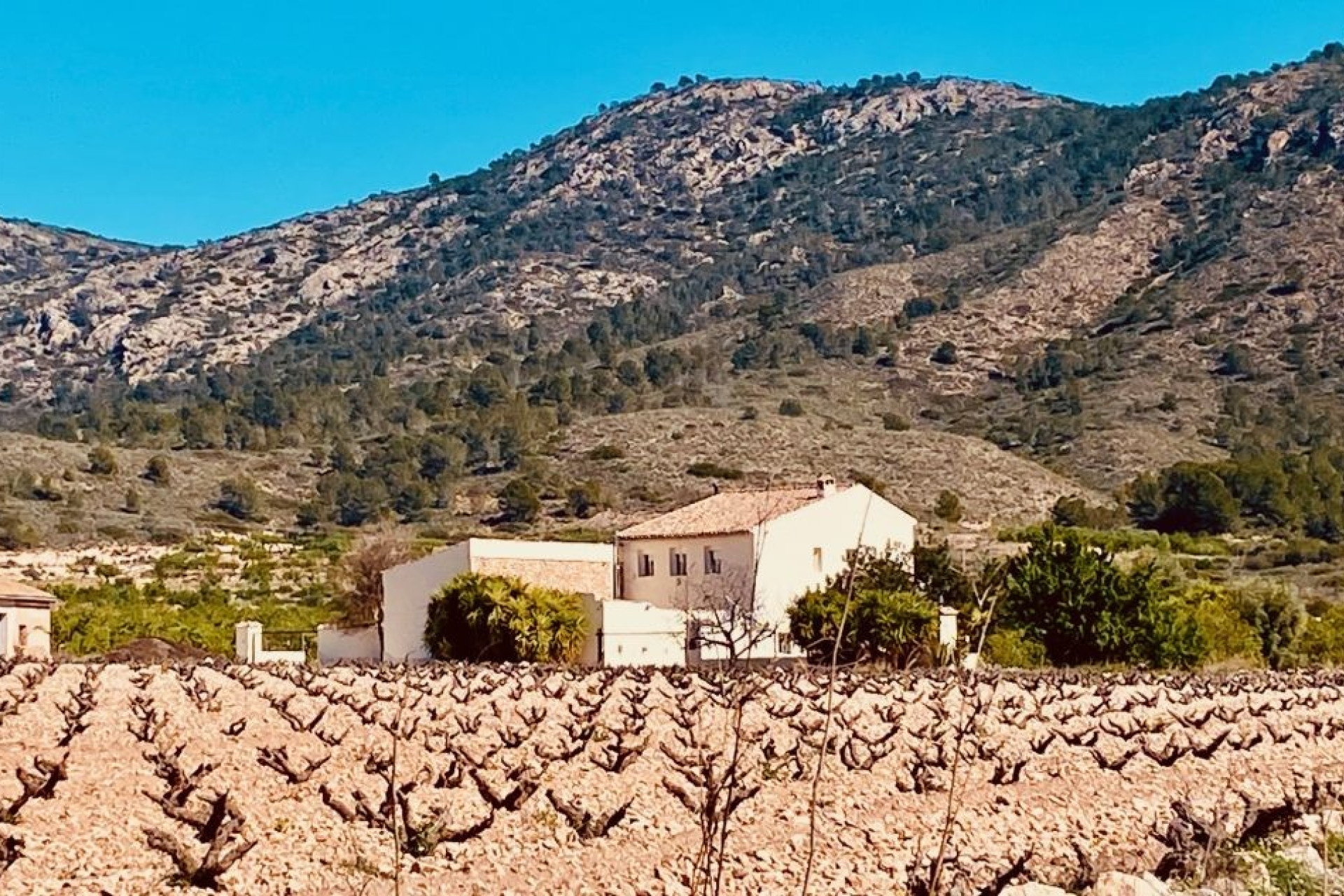 Resale - Villa -
El Canton